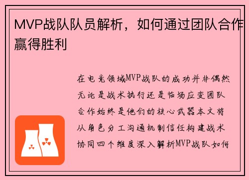 MVP战队队员解析，如何通过团队合作赢得胜利